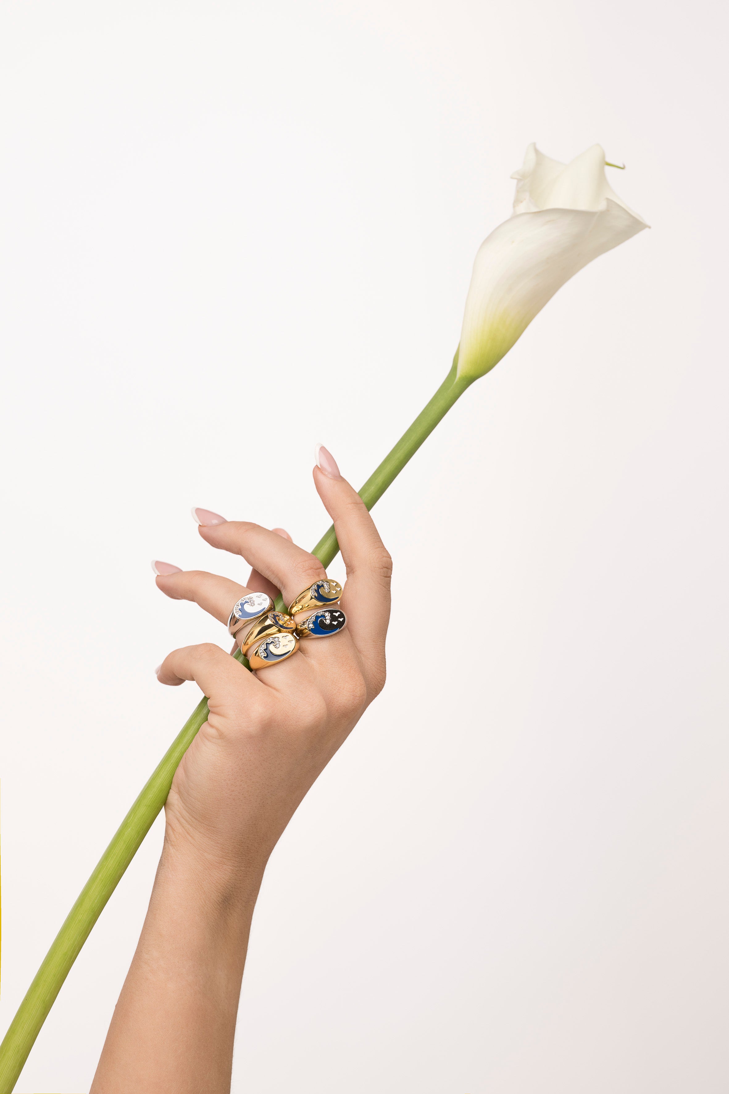 Ocean Breeze Ring gull
